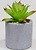 Горшок с искусственным растением серый 601881 D5 H8
