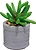 Горшок с искусственным растением серый 601883 D5 H8