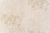 Виниловые обои АРТЕКС Укропы 10306-03 бежевые 1,06х10 м