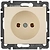 Розетка Legrand Valena 695611