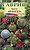 Семена Кактуса ГАВРИШ Непоседа смесь 0,05 г