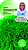Семена Укропа Октябрина Ганичкина Супердукат ОЕ 3 г