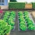 Мульчирующая пленка Planet Garden 1,4х5 м