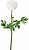 Искусственный цветок Лютик кремовый 55 см