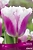 Тюльпан БАХРОМЧАТЫЙ СИЕСТА 10 шт