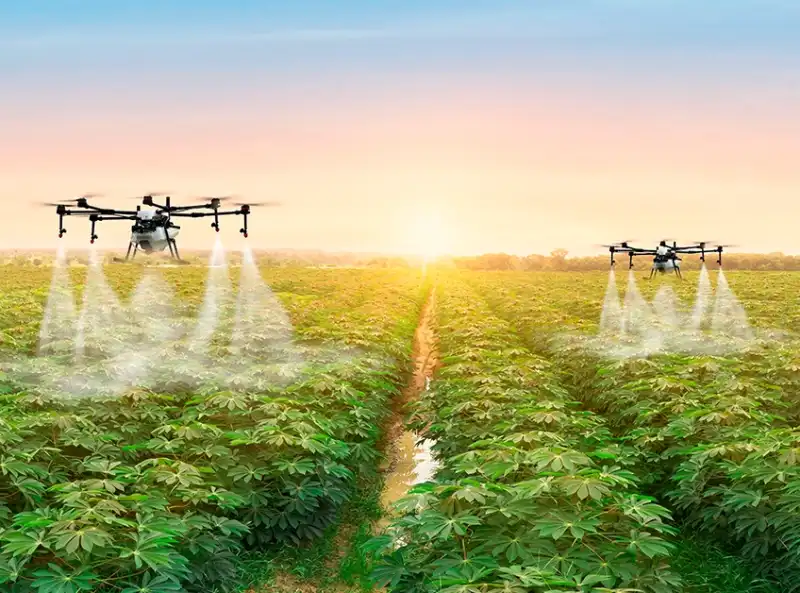 Daewoo подготовил подарки для владельцев техники бренда