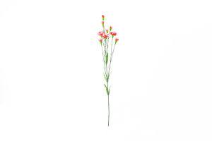 Цветок искусственный Гвоздика красно-белая 70 см