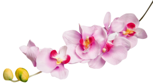 Цветок искусственный Фаленопсис светло-розовый 80 см