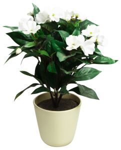 Искусственный цветок бальзамин кремовый 36 см в горшке