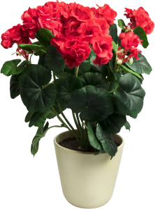 Искусственный цветок пеларгония красная 36 см в горшке