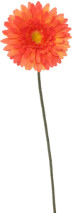Искусственный цветок гербера оранжевая 60 см 