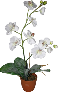 Искусственный цветок фаленопсис белый 80 см в горшке