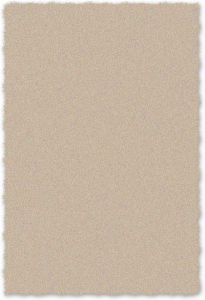 Ковер Moldabela Shaggy 1039-33848 бежевый 200х300 см