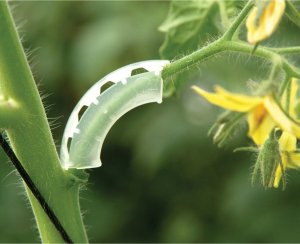 Кистедержатель круглый полипропиленовый 4х10х20 см прозрачный