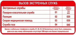 Наклейка информационная REXXON Экстренные службы 10х30 см