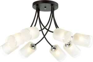 Подвесная люстра SONEX Paula 4533/8C