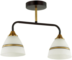 Потолочная люстра LUMION COMFI 5214/2CA