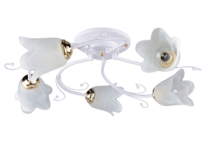 Потолочная люстра РОССвет РС20506 WT+FG/5C