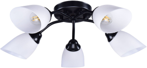 Потолочная люстра РОССвет РС21396 BK/5C