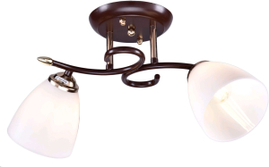 Потолочная люстра РОССвет РС22655/2