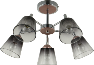 Потолочная люстра J-LIGHT Monty 3200/5C