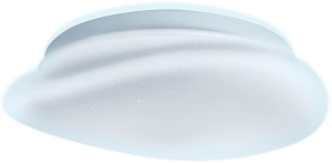 Потолочный светильник Ritter Stone 52329 1