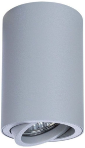 Потолочный светильник ARTE Lamp SENTRY A1560PL-1GY
