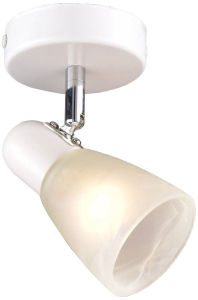 Спот РОССвет Модуль РС20723 WT+CR/1W