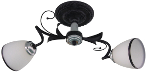 Потолочная люстра J-Light Gera 1520/2C