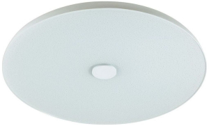 Потолочный светильник Sonex VASTA LED 4629/DL с пультом ДУ