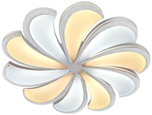 Потолочный светильник ESCADA Led 10204/10LED с пультом ДУ