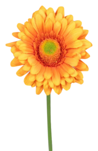Искусственное растение Гербера 32 см оранжевая 
