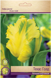 Луковицы Тюльпана ПОИСК Техас Голд 3 шт