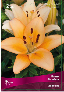 Луковицы лилии ла-гибрид ПОИСК Менорка 2 шт