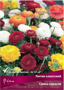 Луковицы лютика азиатского Смесь окрасок 10 шт в ассортименте