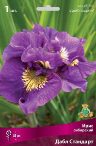 Корневища Ирис сибирский Поиск Дабл Стандарт 1 шт