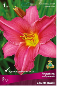 Корневище лилейника гибридного ПОИСК Саммэ Вайн 1 шт