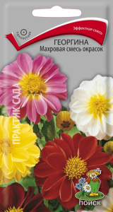 Семена Георгина Махровая смесь окрасок Поиск 0,3 гр