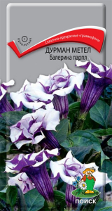 Семена Дурман метел Балерина Парпл Поиск 3 шт