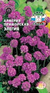 Семена Армерия СеДеК Элегия приморская