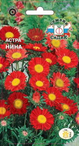 Семена Астра СеДеК Нина ало-красная