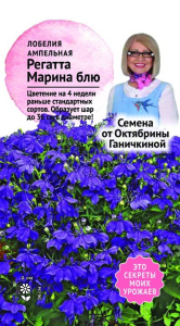 Семена Лобелия Регатта блю Марина Семена от Октябрины Ганичкиной 10 шт