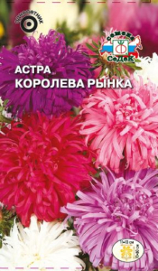 Астра Королева Рынка СеДек