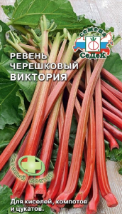 Семена Ревень СеДеК черешковый Виктория
