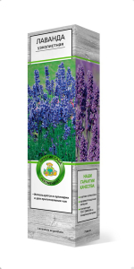 Растение Лаванда узколистная Розеа ПОИСК С1 Н37
