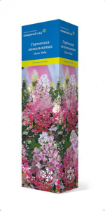 Саженец Гортензия метельчатая Пинк Леди ПОИСК