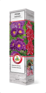 Растение Роза парковая Сахара ПОИСК С1 Н37