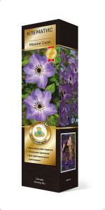 Растение Клематис Монинг Скай С1 Н37