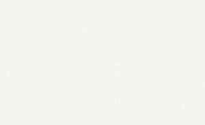 Виниловые обои ERISMANN NEOCHIC 60009-02 ванильные 1,06х10,05 м