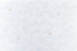 Виниловые обои АРТЕКС Фрегат 10480-03 синий 1,06x10 м